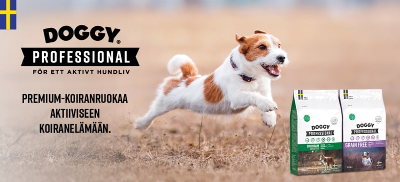Featured promotion: doggyp